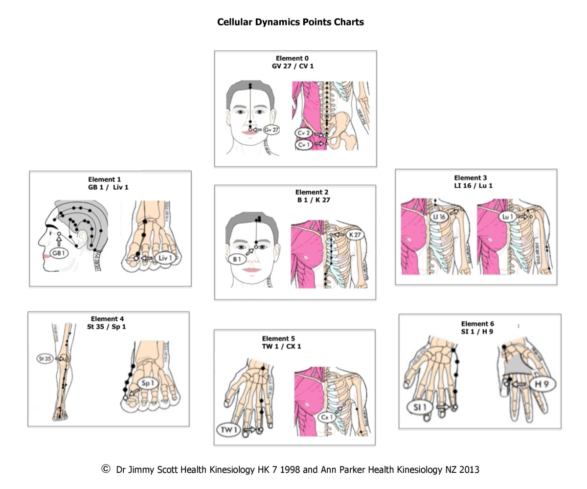 Cellular Dynamic Points: Value